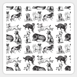 Black And White Dogs Patterns Sticker